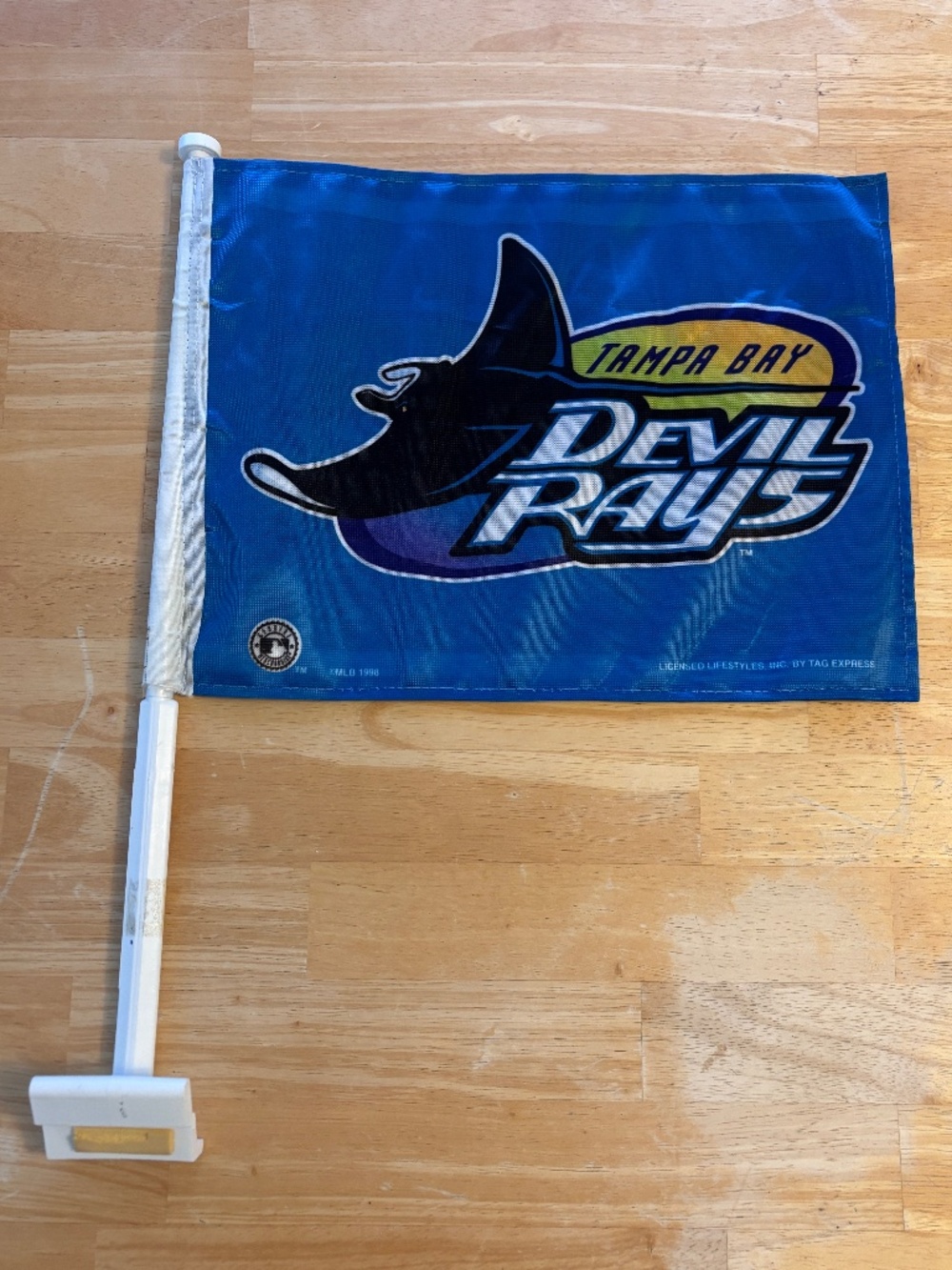 Tampa Bay Devil Rays Car Flag